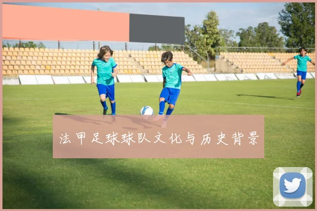 法甲足球球队文化与历史背景