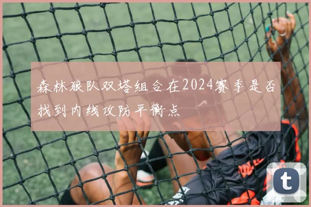森林狼队双塔组合在2024赛季是否找到内线攻防平衡点